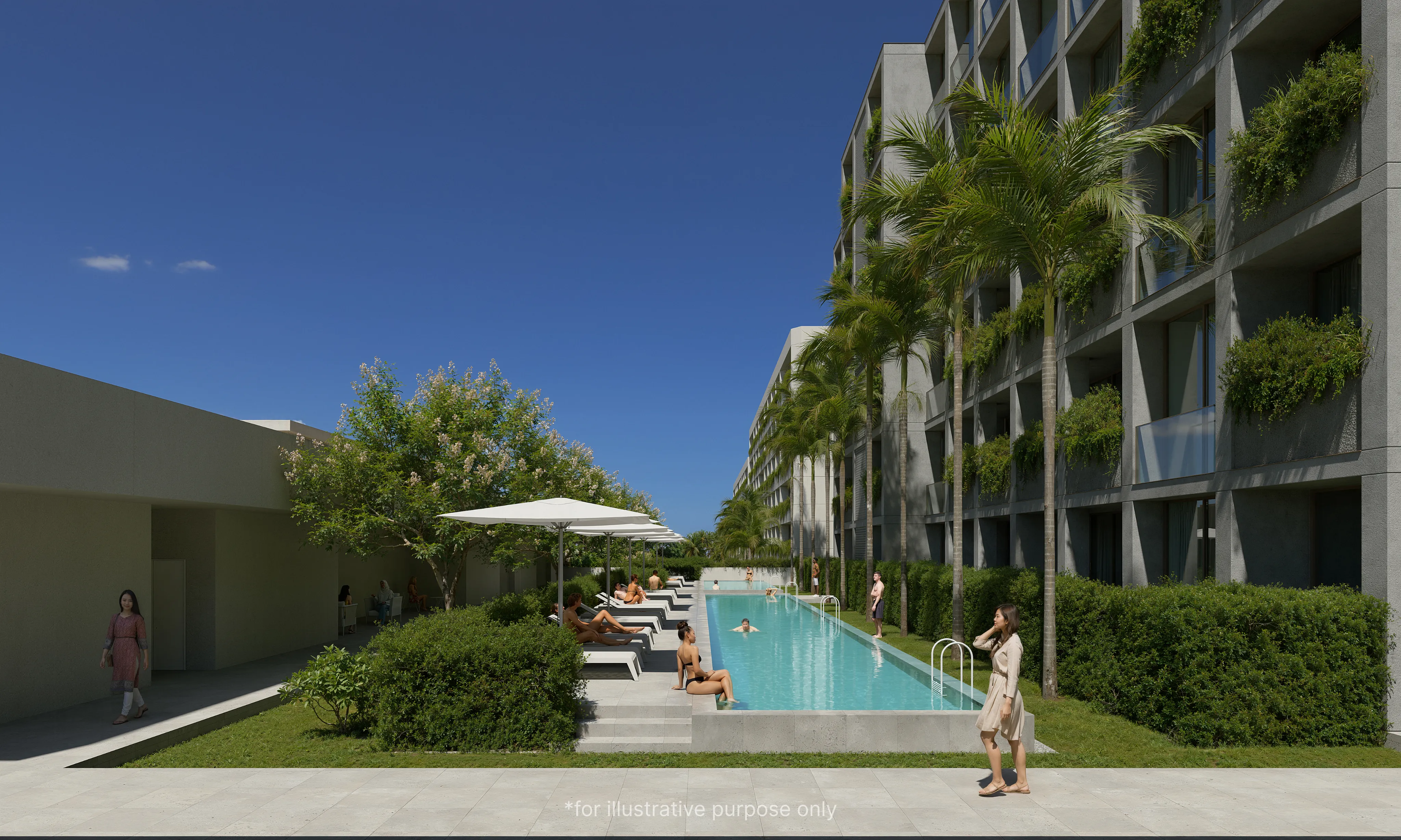 Serene Layan & Terra Grove