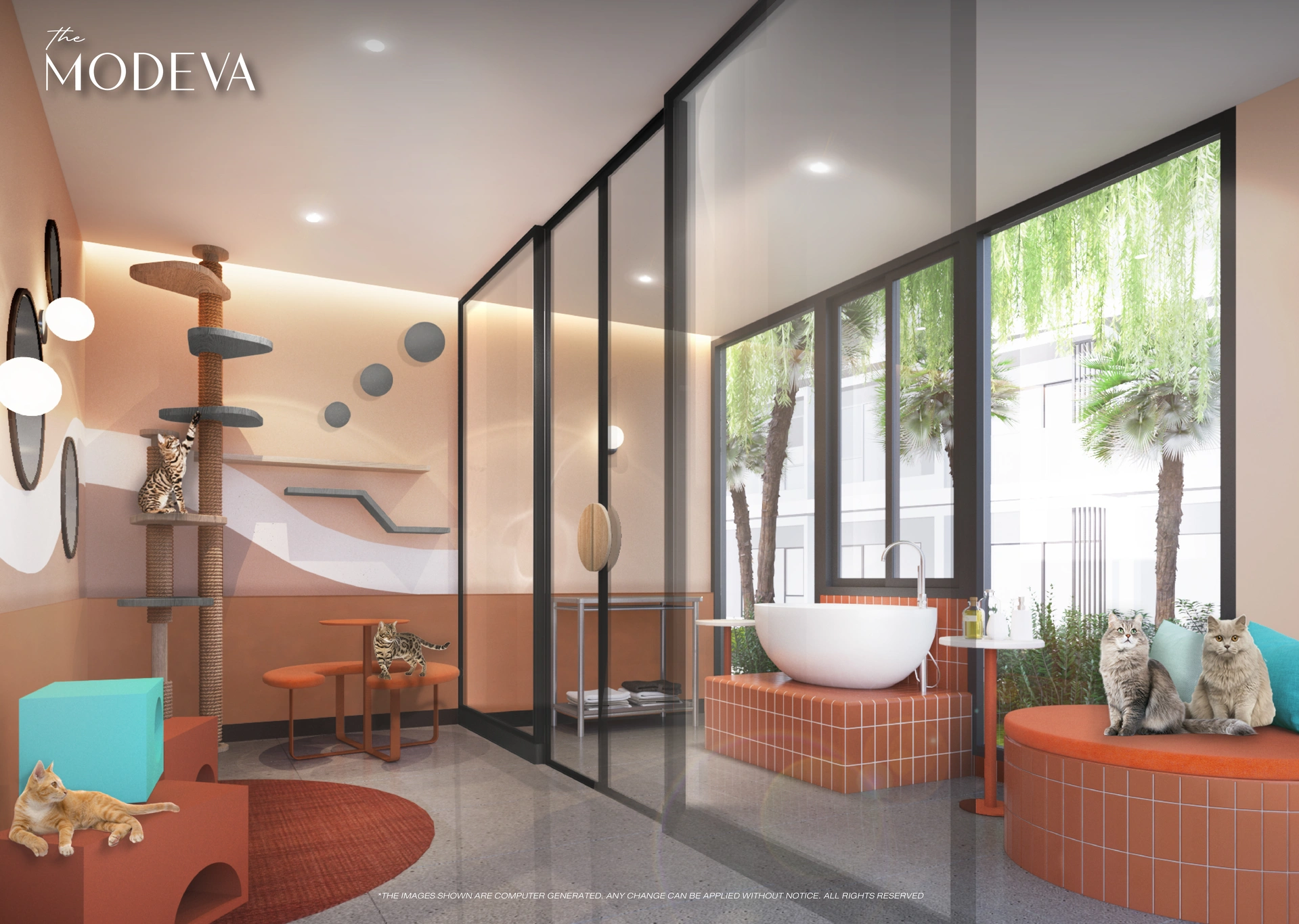 Title Modeva Bang Tao